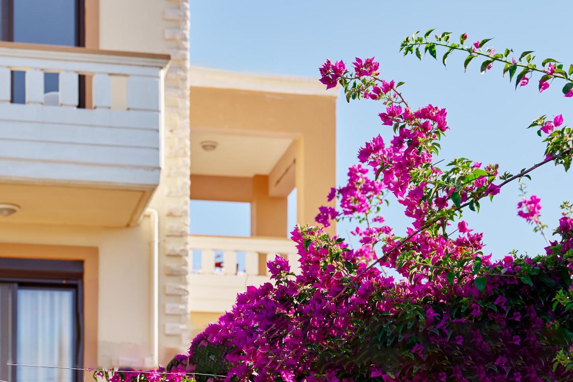 Villa Gereoudis Apartments With Sea View & Pool Kolymbari Extérieur photo